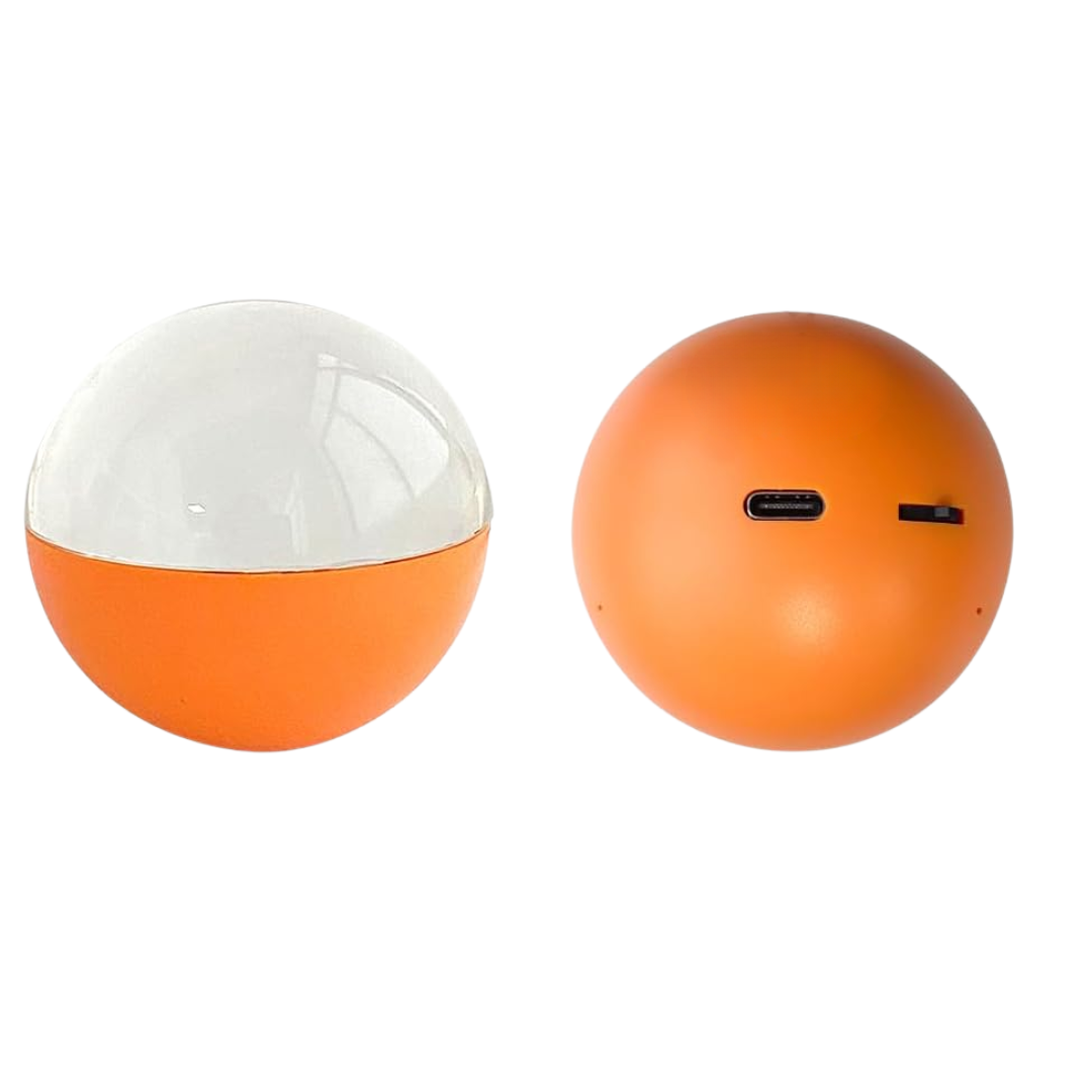Timeless Ball
