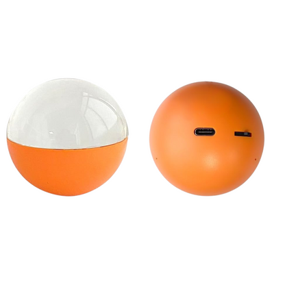Timeless Ball